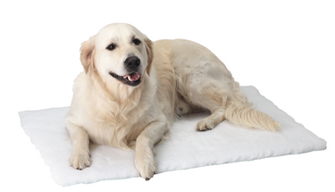 KRUUSE Vet Bed Grey, 100 x 75 cm